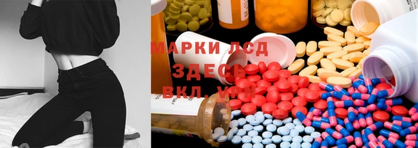 прущие грибы Беломорск