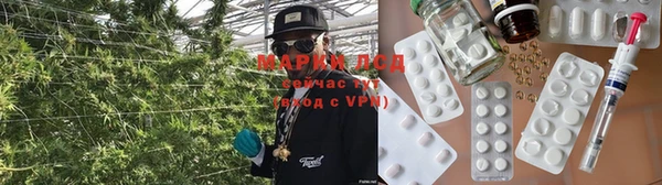 прущие грибы Беломорск