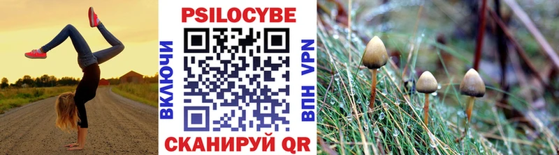 Псилоцибиновые грибы прущие грибы  Брюховецкая 